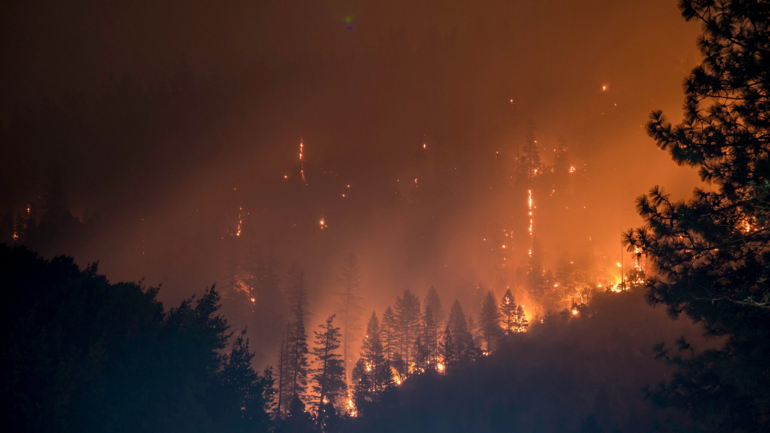 Besteht Schadensersatzanspruch nach Waldbränden in Rhodos?