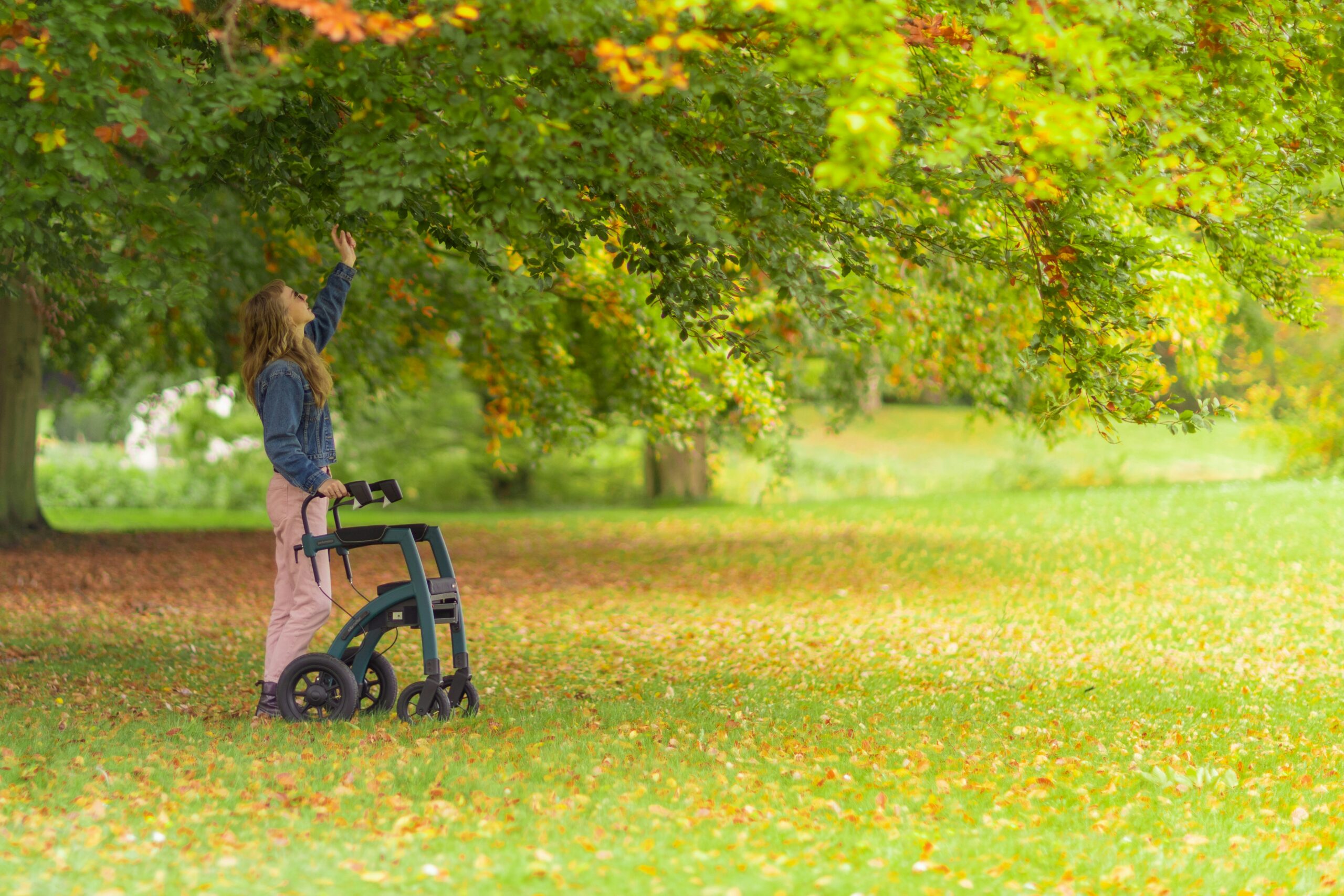 Rollator, Gehhilfe