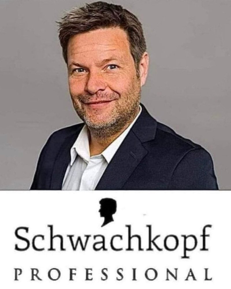 Robert Habeck und die Schwachköpfe, Robert Habeck als professioneller Schwachkopf, Der Stein des Anstosses