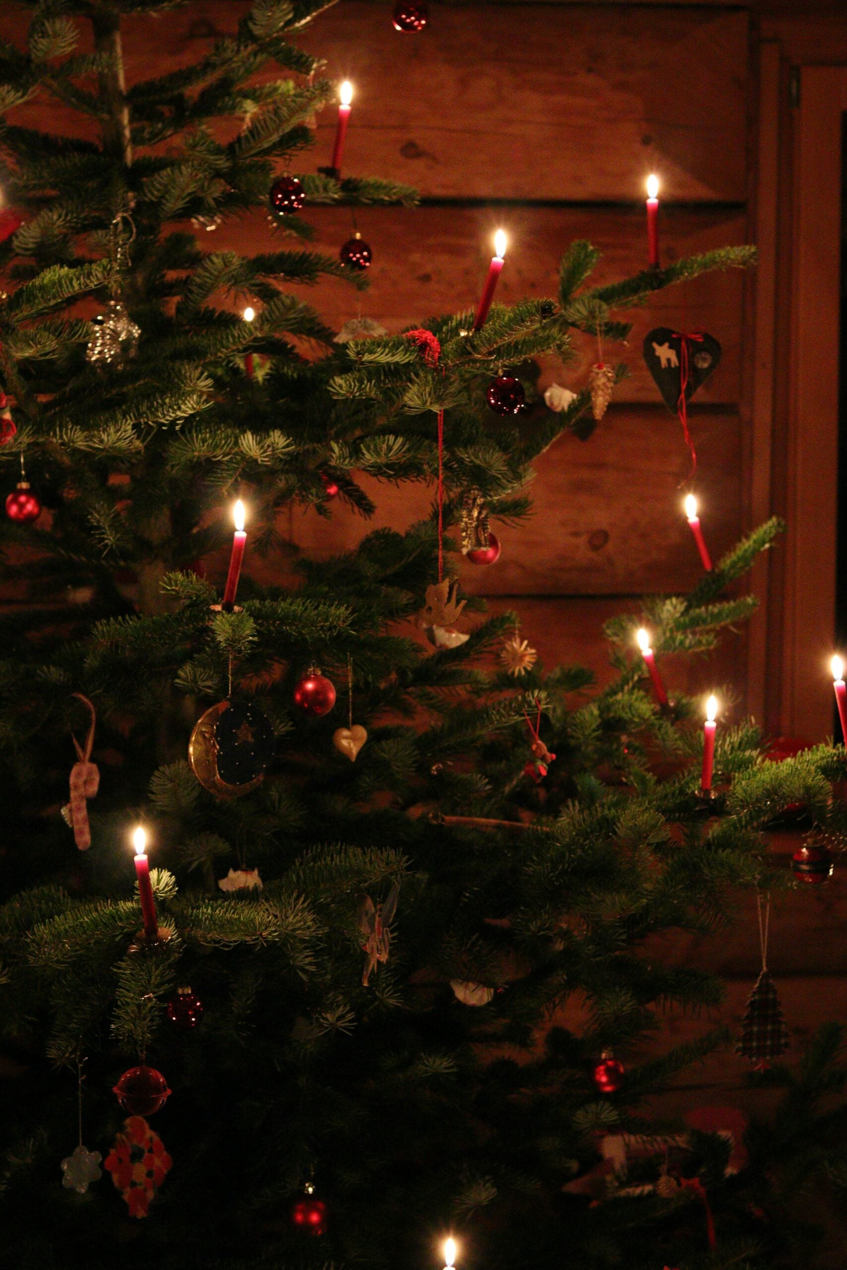News - rechtsanwalt.com Brandgefährlich & teuer: Wer haftet bei einem abgebrannten Weihnachtsbaum?