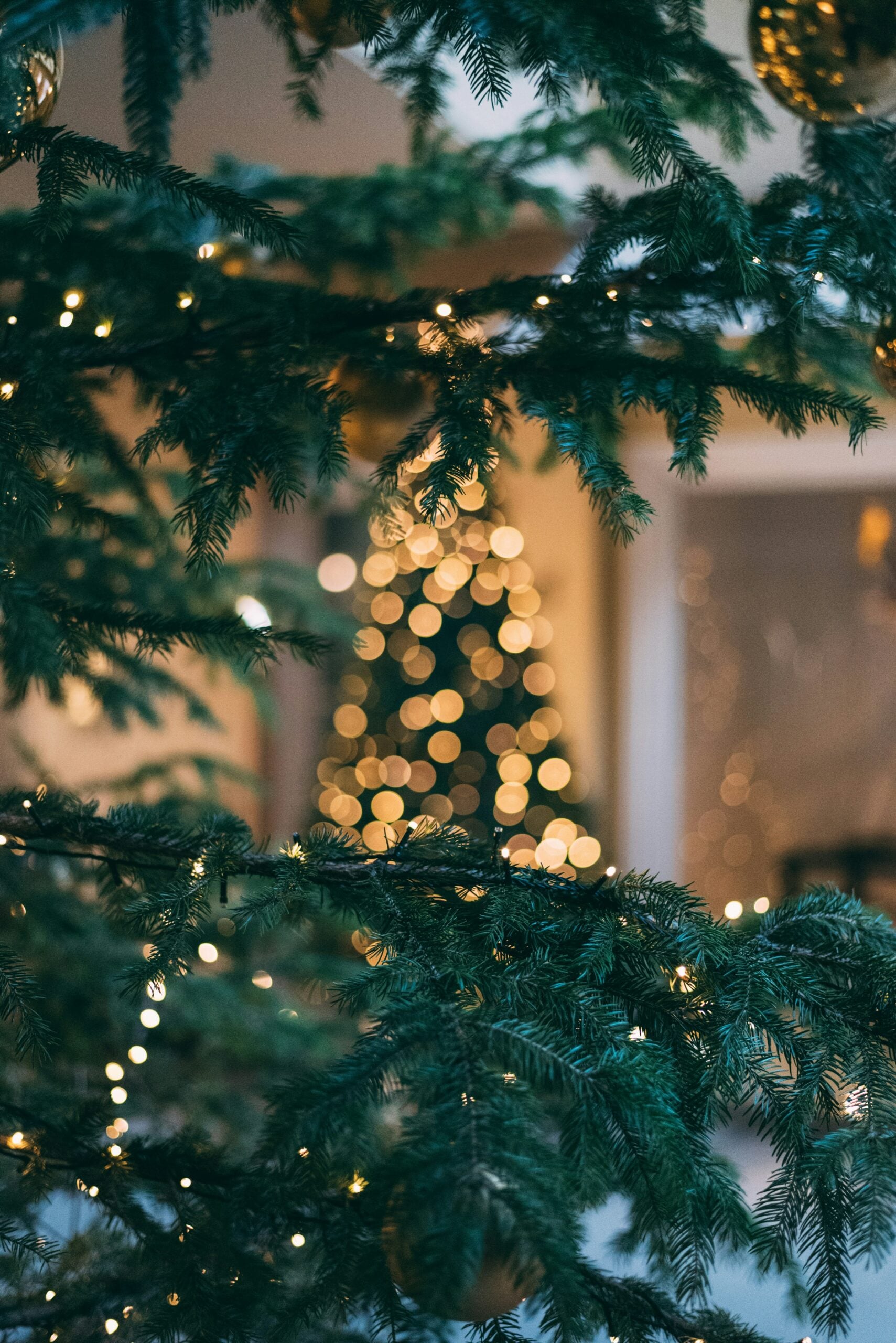 News - rechtsanwalt.com 🎄 Die kuriosesten Weihnachtsurteile Deutschlands – Teil 1: Wenn Gerichte über Christbaum, Gänsebraten und Weihnachtsfrieden entscheiden
